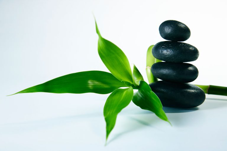 spa in f10 Islamabad - spa stones and spa natural plant on floor